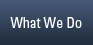 What we do